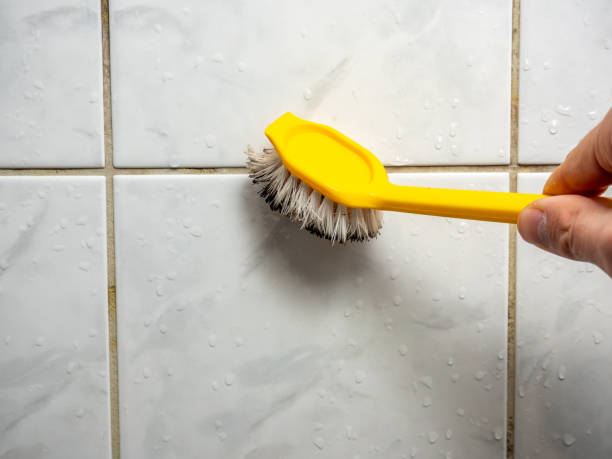 Mulvane, KS Mold Removal Company