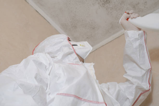Best Residential Mold Removal  in Mulvane, KS